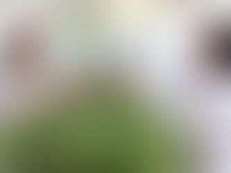 CENIBRA realiza Semana da Árvore