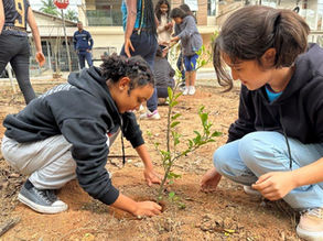 Usiminas promove plantio de mudas próxima à Escola Estadual Dom Helvécio