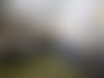 16º Salão do Livro começa terça e homenageia Adélia Prado e escritoras da região