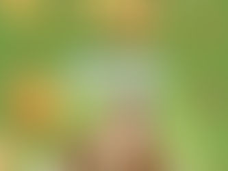 Consul distribui aos cooperados 1 milhão e 650 mil reais em retorno de sobras