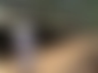 CENIBRA utiliza encenação teatral em treinamento sobre segurança e saúde