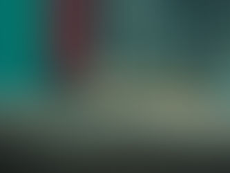 Jacaré do papo amarelo resgatado em ambiente urbano sob cuidados do Cebus será devolvido à natureza