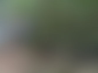 Cenibra Comemora 33 anos do Projeto Mutum