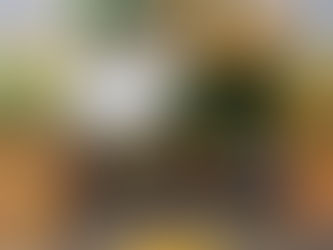 Circuito Unimed Vale do Aço de Corrida de Rua finaliza o ano com prova em Coronel Fabriciano