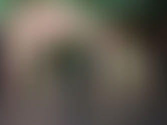 “Os Cegos” – Estreia Nacional