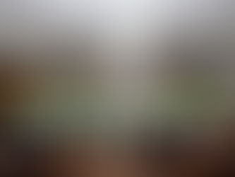 Ternium e Usiminas incentivam educação com programas de reconhecimento por desempenho acadêmico