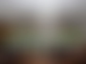 Ternium e Usiminas incentivam educação com programas de reconhecimento por desempenho acadêmico