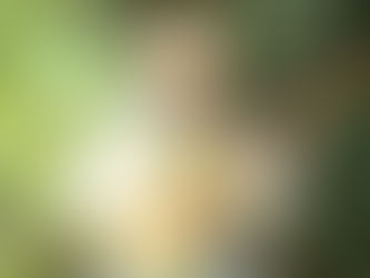 ENARTICinho – Viola Caipira