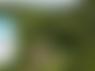 CENIBRA recebe certificação inédita por compromisso com a biodiversidade