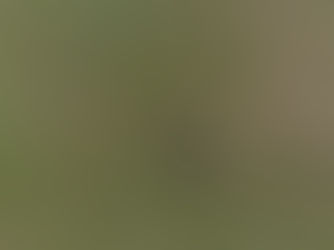 CENIBRA apoia evento sobre técnica de conservação de água e solo