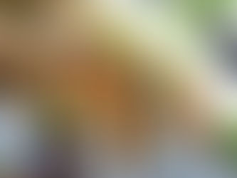 Presentes! Artistas mulheres no acervo da Pinacoteca SP – segunda metade do século 20