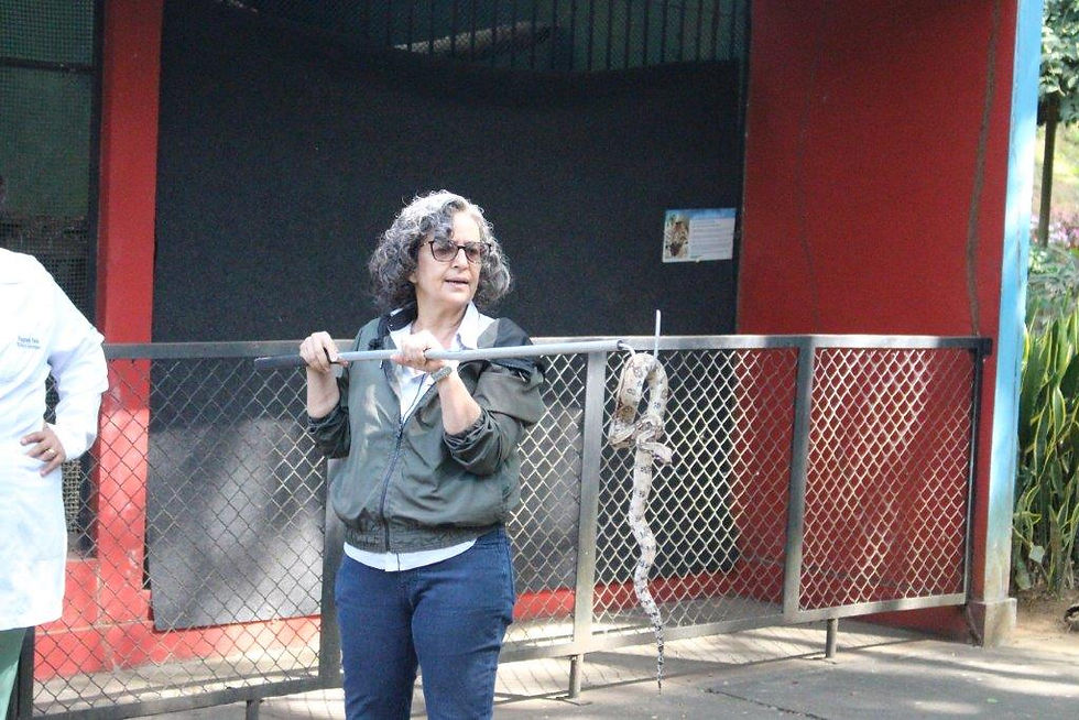 Cebus oferece capacitação especializada em manejo de animais peçonhentos e silvestres para empresas