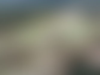 Mineração Usiminas recebe certificado de descaracterização da Barragem Central