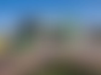 Unimed Vale do Aço celebra 45 anos