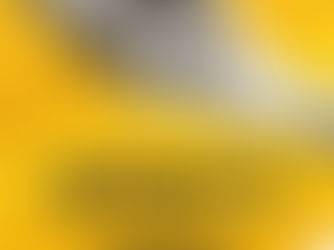 AAPI - Setembro Amarelo