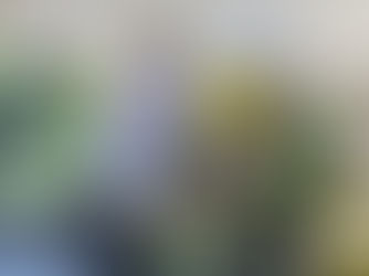 Policiais Militares de Ipatinga participam de mutirão de doação de sangue no Hospital Márcio Cunha