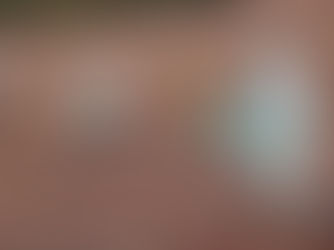 CENIBRA abre vagas para trabalhadores na área florestal