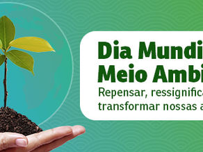 Sustentabilidade, proteção ao meio ambiente e oportunidades