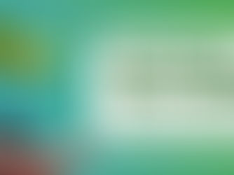 Sustentabilidade, proteção ao meio ambiente e oportunidades