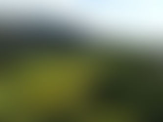 FSFX - Hospital Libertas em Belo Horizonte