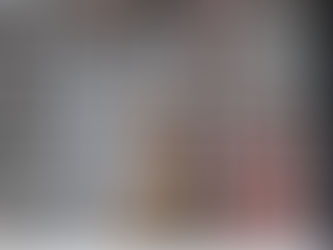 Cebus entrega onça parda ao IEF para soltura