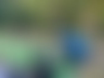 Oikós encerra celebração dos 30 anos com exposição de desenhos