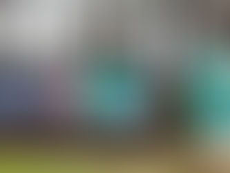 CENIBRA lança campanha contra incêndios florestais