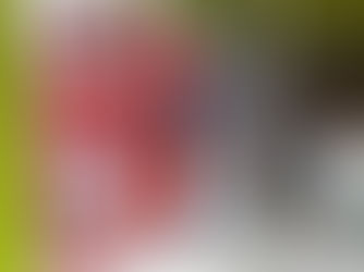 Campanha de Natal da Aciapi-CDL ganha adesão no comércio de Ipatinga