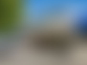 Oito anos de excelência em saúde: FSFX transforma Hospital Carlos Chagas em referência regional