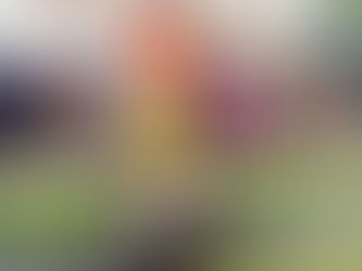 Filó Incubadora Cultural - Ponto de Cultura de Ipatinga Anuncia sua Programação de Eventos Culturais para 2024