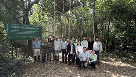 Após 50 anos, jacutinga volta a ser registrada no Parque Estadual do Rio Doce
