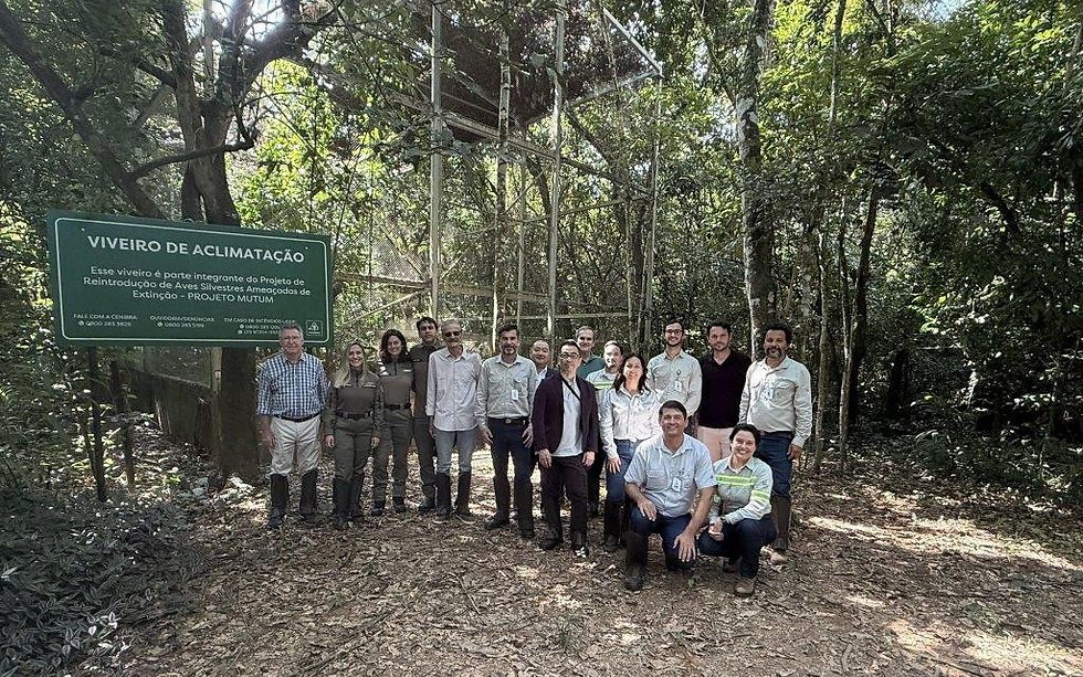 Após 50 anos, jacutinga volta a ser registrada no Parque Estadual do Rio Doce