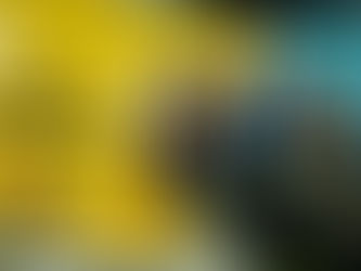 Conheça o Bee Benefícios, um novo produto Aciapi-CDL