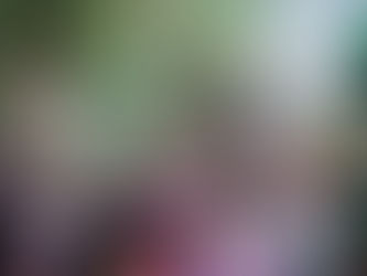 Mostra de Teatro celebra Dia da Árvore