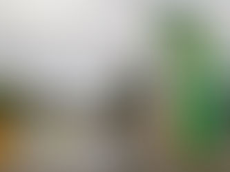 Prefeito de Coronel Fabriciano garante construção de acesso ao HMU