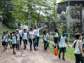 Projeto Xerimbabo Usiminas tem início em outubro com circuito de visitação ambiental