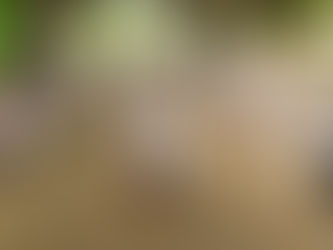 “Vem pro Movimento” leva qualidade de vida para moradores de Ipatinga