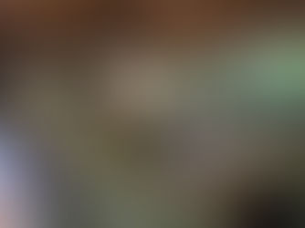 Pró Mananciais discute atividades em Timóteo