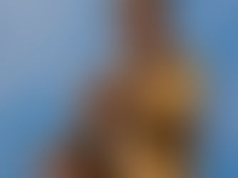 Zé Geraldo e seu Mundo de Canções e Prosa