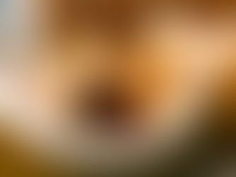 Aço inox genuinamente mineiro decora as vitrines e equipa cozinhas do Centro de Referência do Queijo