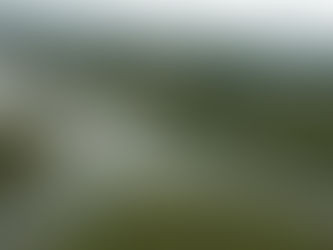 CENIBRA comemora o Dia Mundial da Água