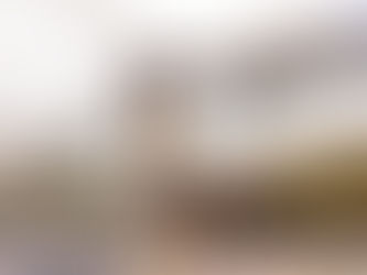 Consul Inaugura no dia 17 loja no Horto com novo conceito