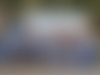 Dia da Árvore no Oikós terá atrações teatrais, brincadeiras, literatura e oficinas