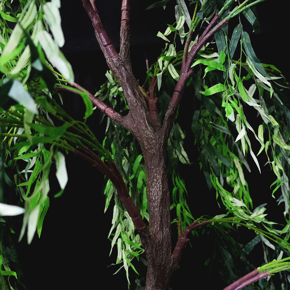 Thumbnail: Willow Tree