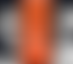 Ken Ham and Bill Nye Debate (2/4)