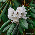 ESC-610_8256.jpg