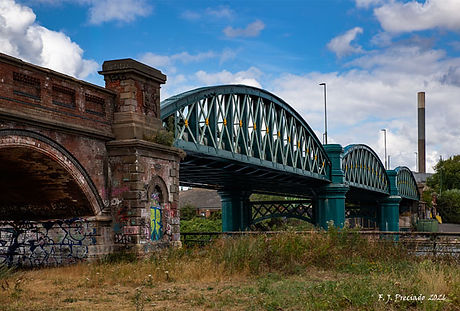 ENG_610_9820-W.jpg