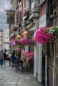 ENG_610_9462-W.jpg