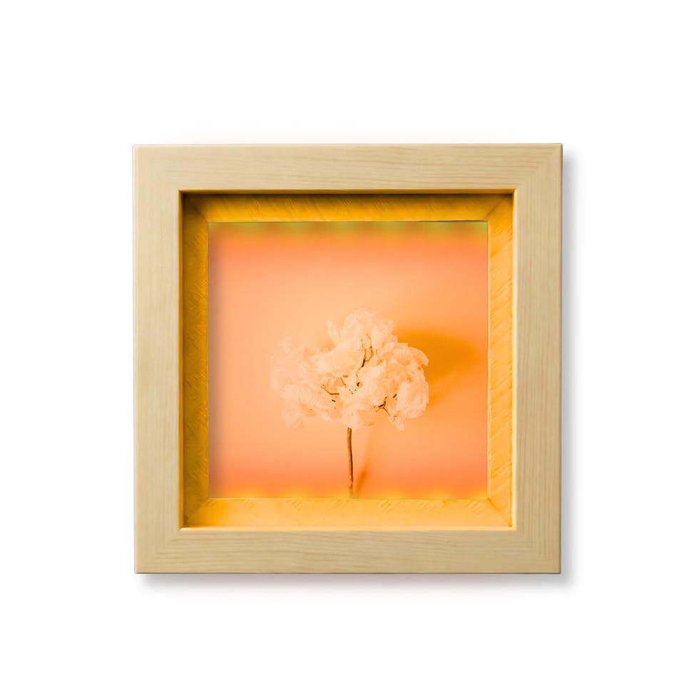 Thumbnail: Shadow Mini Box – Wall/Tabletop Decor