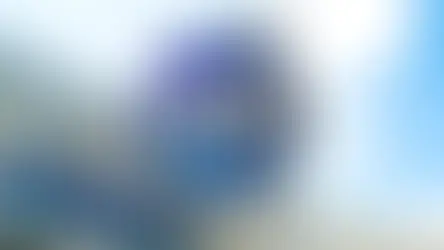 Texas Elite Spartans Welcome the Dallas PULSE to DFW